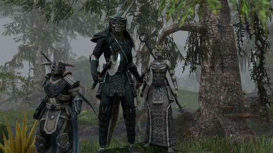 The Elder Scrolls Online - Explorer's Pack DLC EU PS4 CD Key