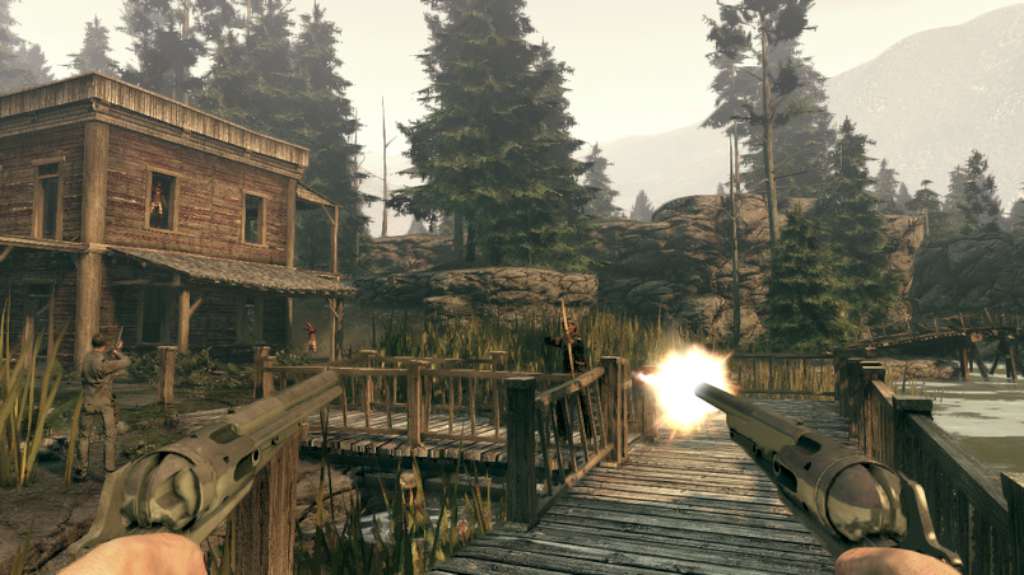 Call of Juarez: Bound in Blood Steam Gift
