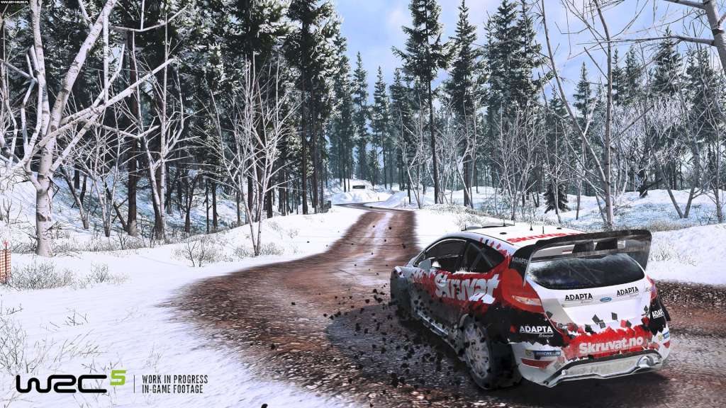 WRC 5 - FIA World Rally Championship DE/FR/BE Steam CD Key
