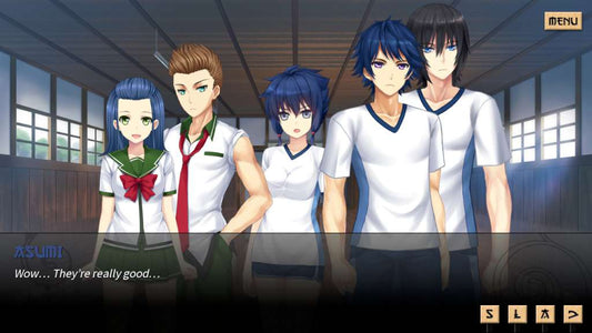 Sword of Asumi Steam CD Key