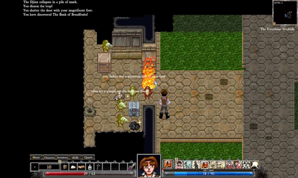 Dungeons of Dredmor Complete PC Steam CD Key