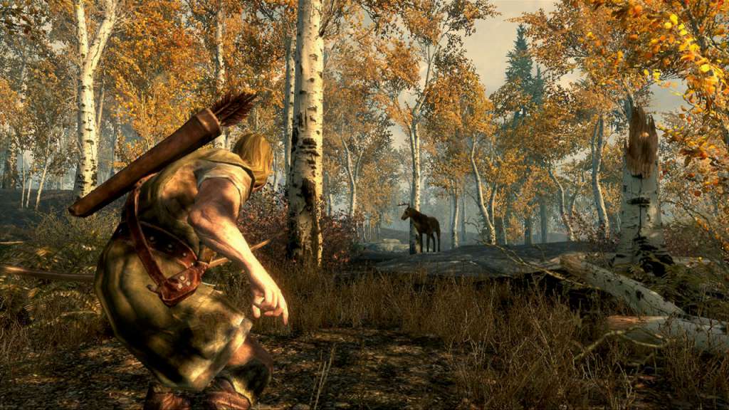 The Elder Scrolls V: Skyrim PL Language Only PC Steam CD Key