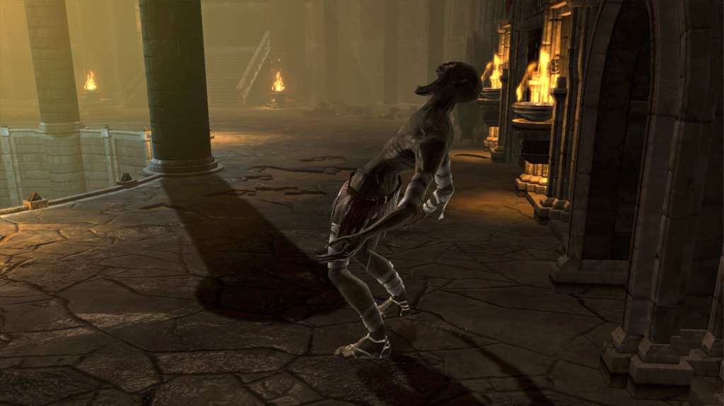 Dungeon Siege III: Treasures of the Sun DLC PC Steam CD Key