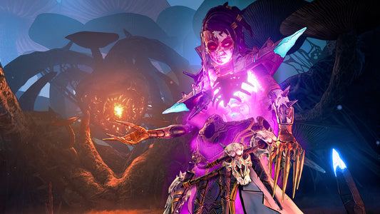Tiny Tina's Wonderlands PS4 Online Account Activation