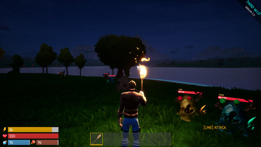 Third Wild Steam CD Key