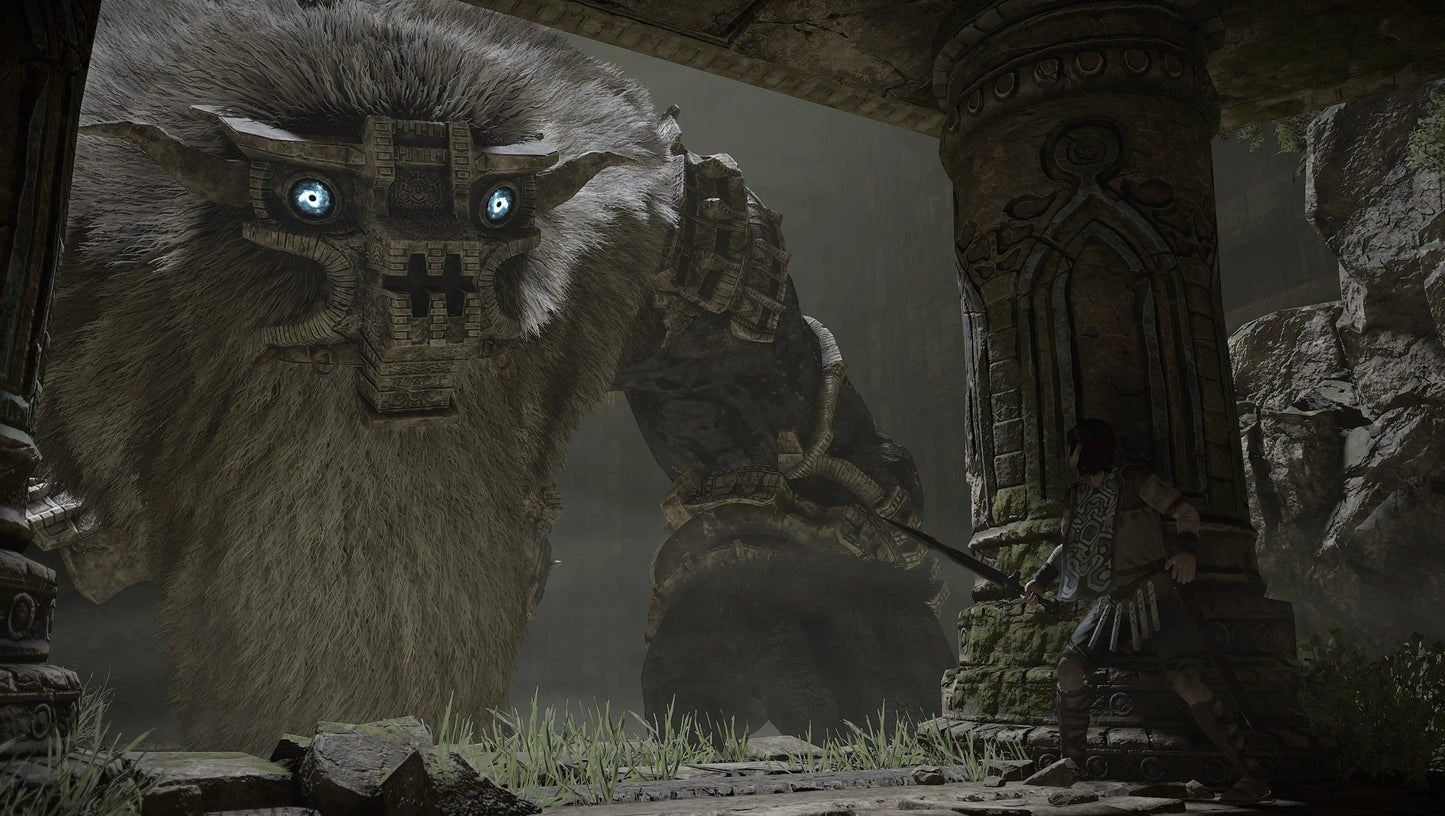 Shadow of the Colossus PS4/PS5 Online Account Activation