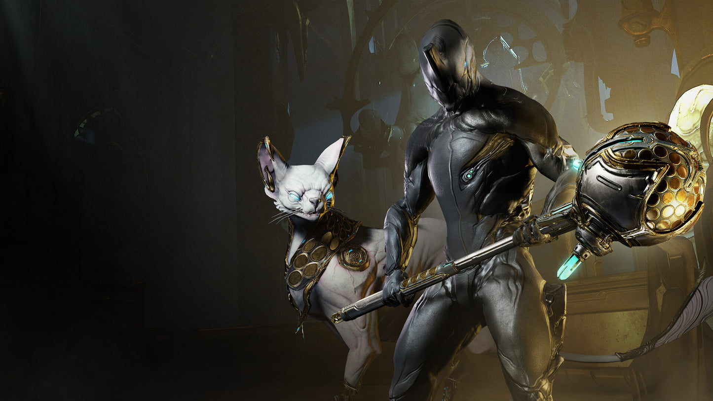 Warframe - Sanctum Collection DLC Manual Delivery