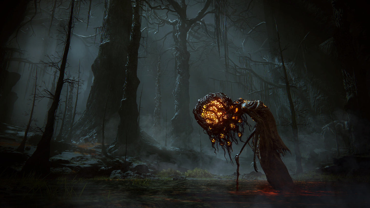 ELDEN RING: Shadow of the Erdtree Edition PS4/PS5 Online Account Activation