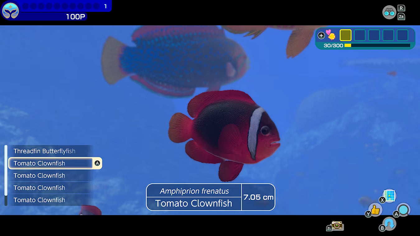 Endless Ocean Luminous Nintendo Switch Online Account Activation
