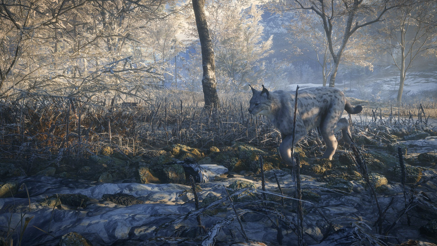 theHunter: Call of the Wild Silver Bundle US XBOX One CD Key