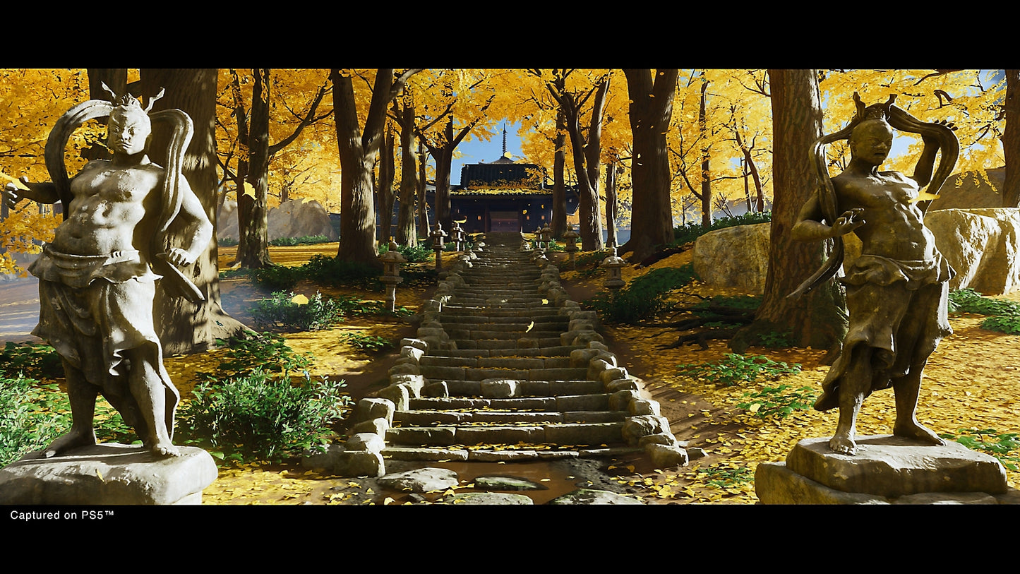 Ghost of Tsushima Director's Cut PS4 Account