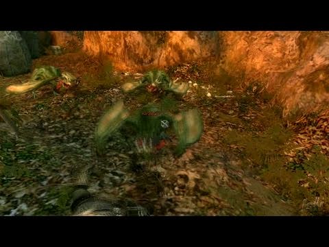 The Witcher: Enhanced Edition Director's Cut Steam Gift - Video 1