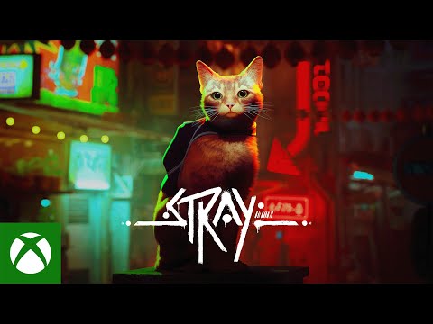 Stray XBOX One / Xbox Series X|S / PC Account - Video 1