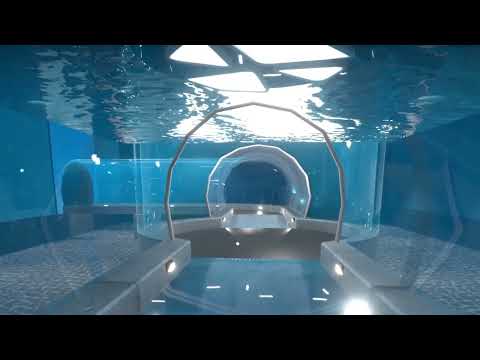 Aquarist NA PS5 CD Key - Video 1