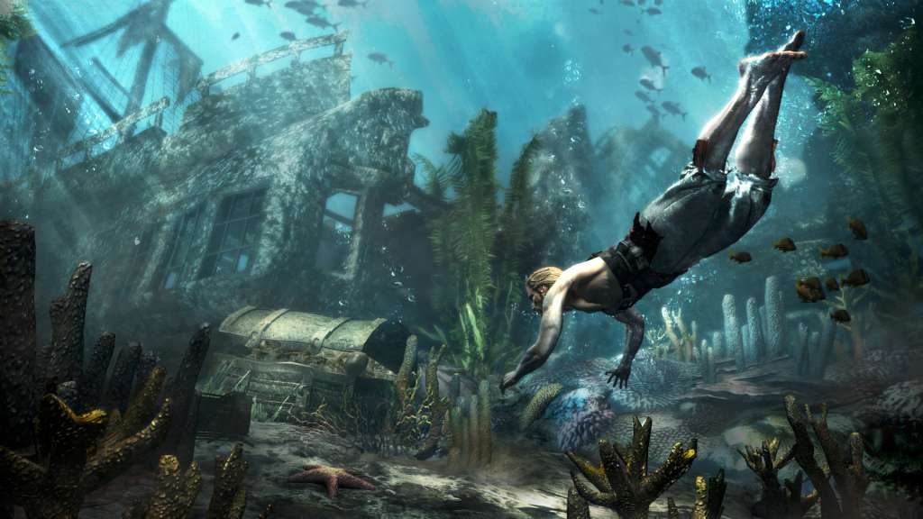Assassin's Creed IV Black Flag EN Language Only Ubisoft Connect CD Key