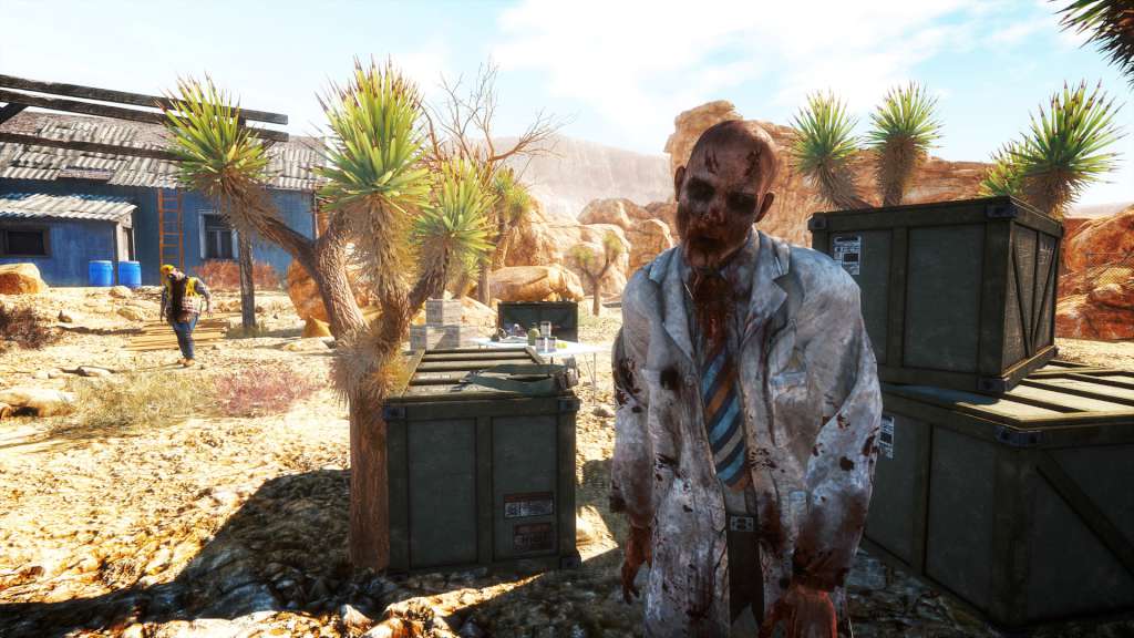 Arizona Sunshine PS4 Account