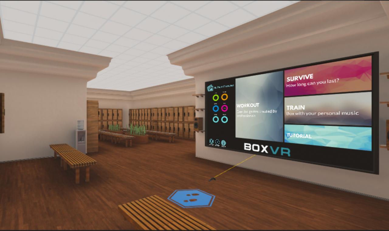 BOXVR EU Steam Altergift