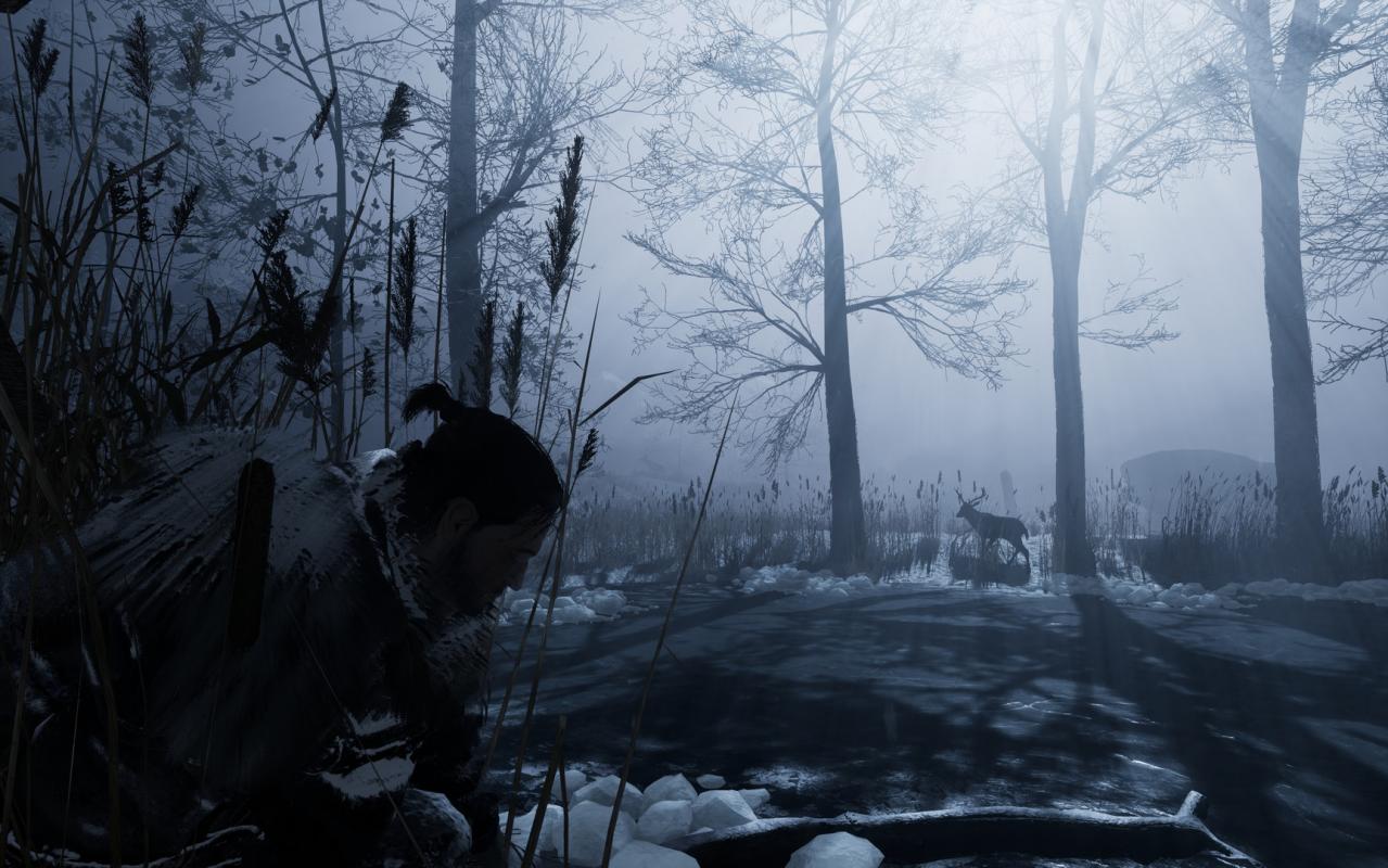 Fade to Silence EU XBOX One CD Key