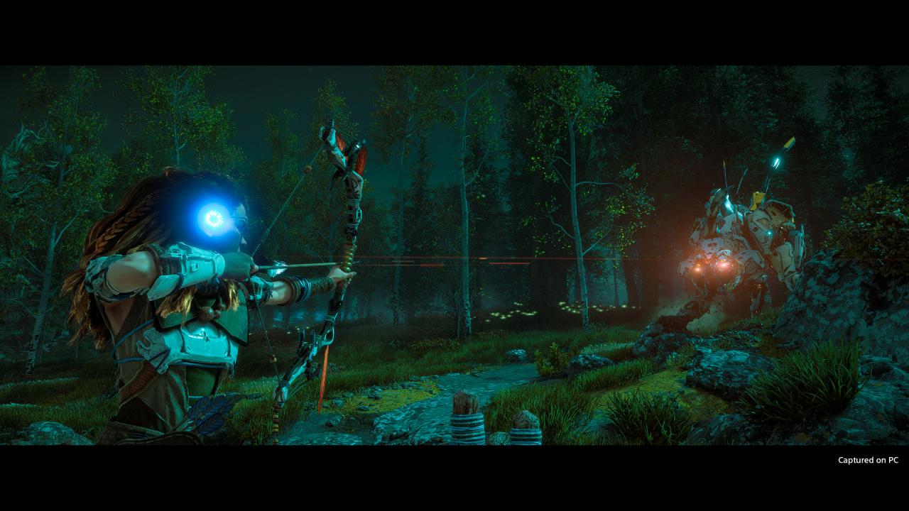 Horizon Zero Dawn Complete Edition PS4/PS5 Account