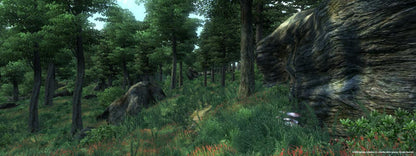 The Elder Scrolls IV: Oblivion GOTY Edition PC Steam Gift