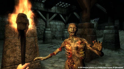 The Elder Scrolls IV: Oblivion GOTY Edition PC Steam CD Key