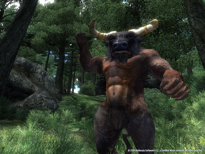 The Elder Scrolls IV: Oblivion GOTY Edition Deluxe PC Steam CD Key