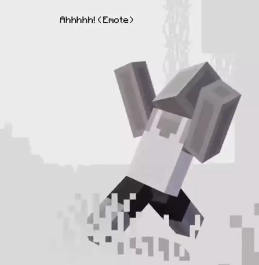 Minecraft - Support A Streamer emote DLC PC CD Key