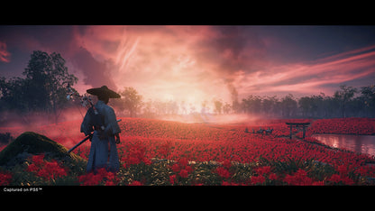Ghost of Tsushima Director's Cut PS4/PS5 Online Account Activation