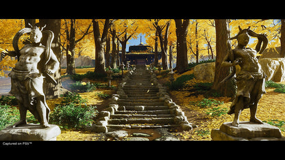 Ghost of Tsushima Director's Cut PS4/PS5 Account