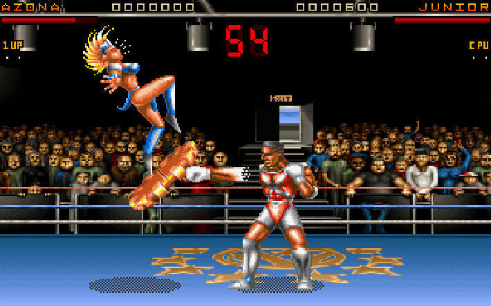 Ultimate Body Blows PC GOG CD Key