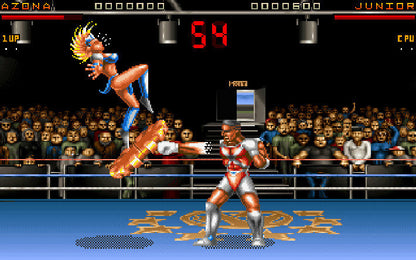 Ultimate Body Blows PC GOG CD Key