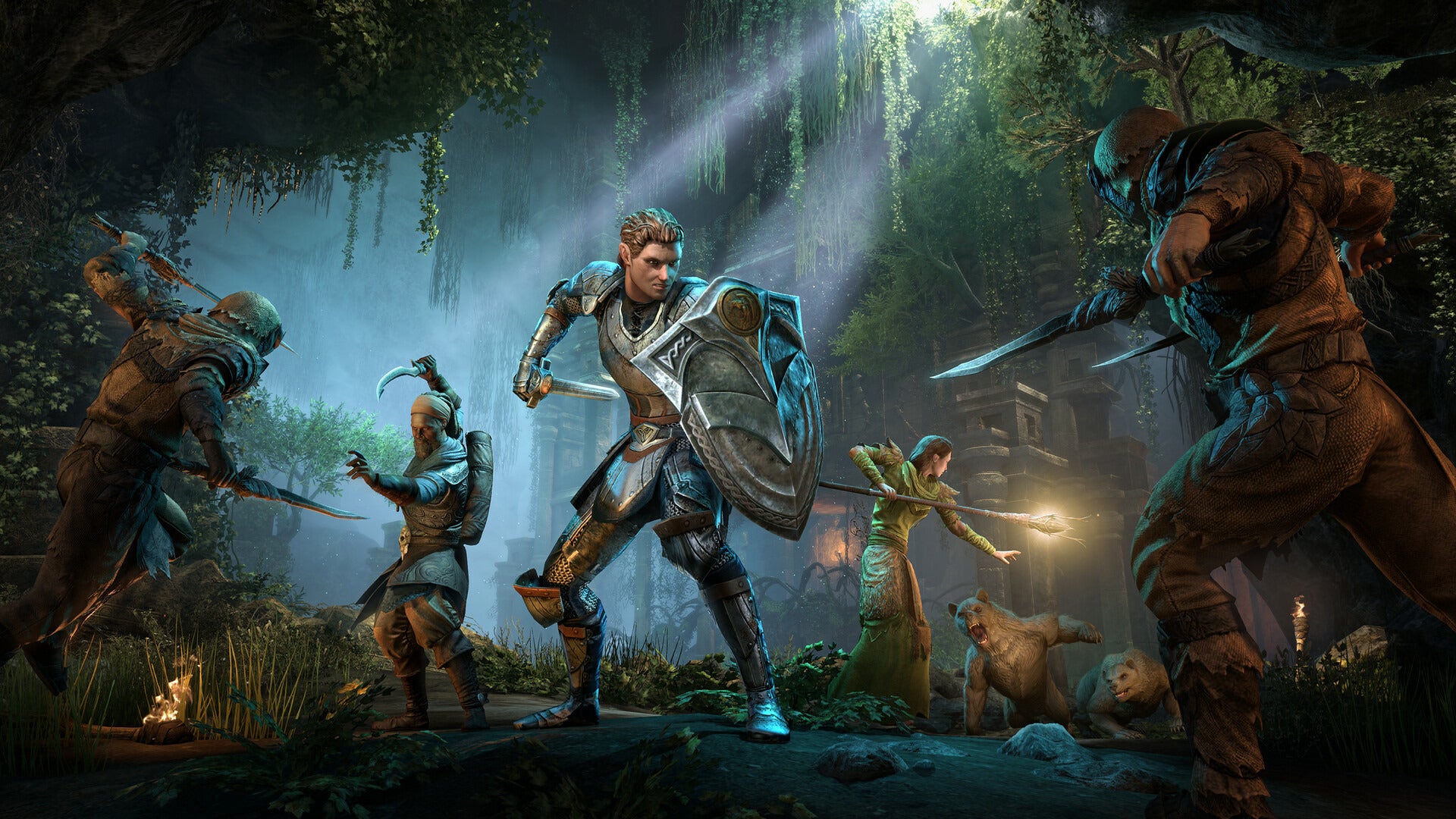 The Elder Scrolls Online: 2025 Premium Edition PS4/PS5 Account