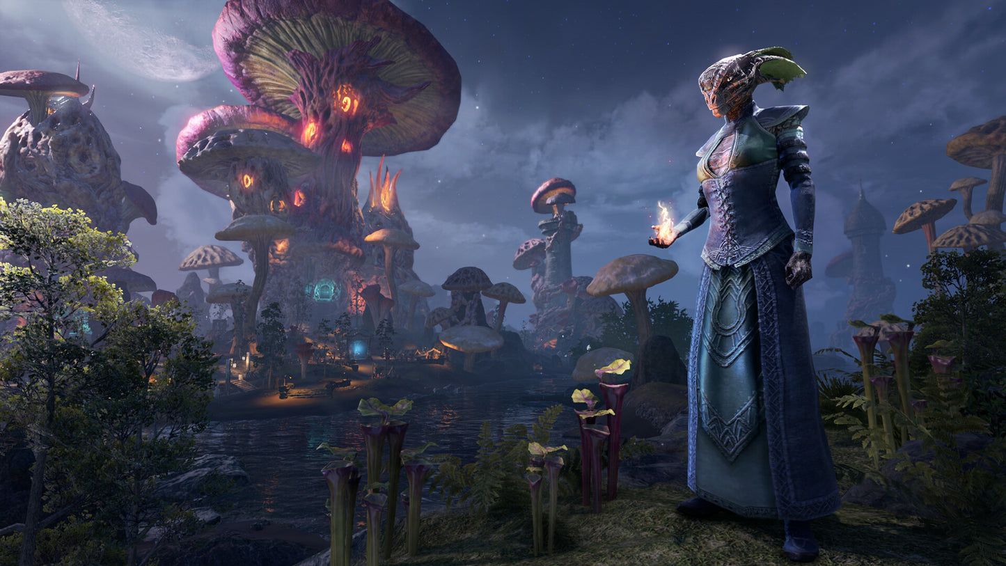 The Elder Scrolls Online: 2025 Premium Edition PS4/PS5 Account
