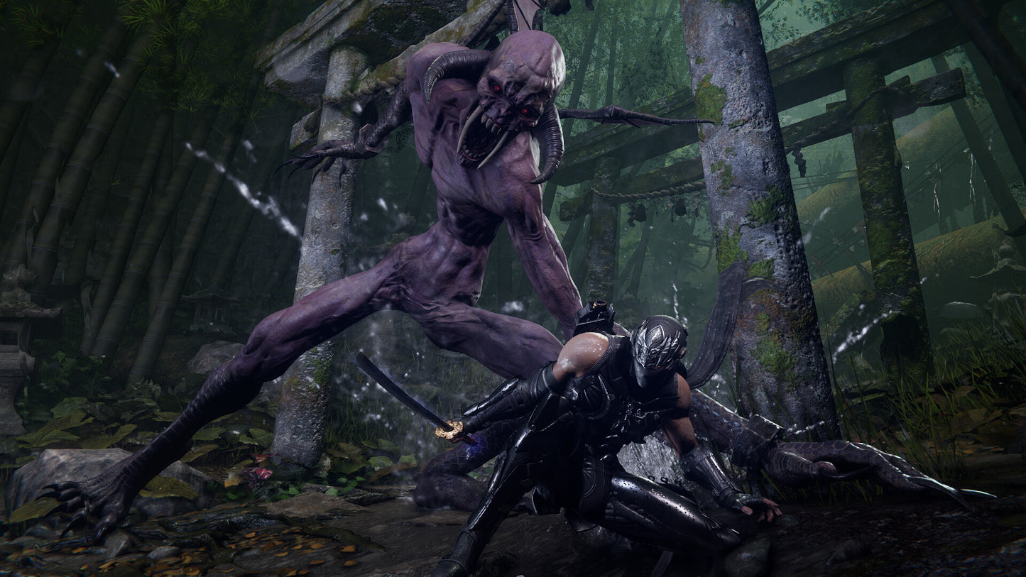 NINJA GAIDEN 4 UK Xbox Series X|S / PC CD Key
