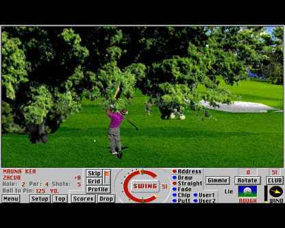 Links 386 Pro PC GOG CD Key