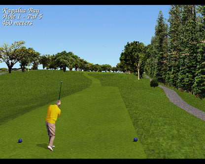 Links LS: 1998 Edition PC GOG CD Key