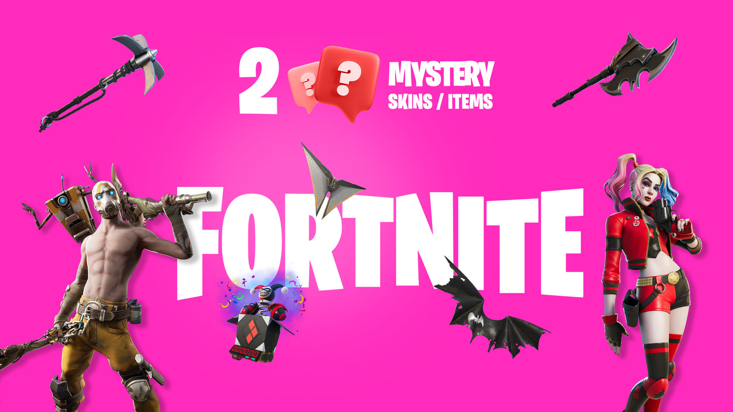 2 Mystery Fortnite Skins / Items PC Epic Games CD Key