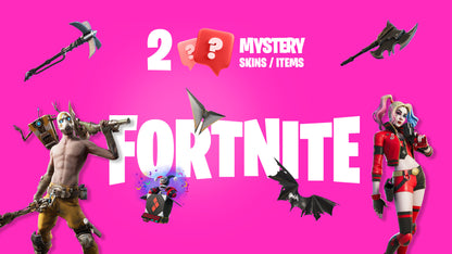 2 Mystery Fortnite Skins / Items PC Epic Games CD Key