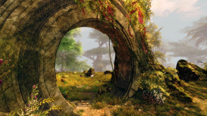 Guild Wars 2: Visions of Eternity Deluxe Edition Digital Download CD Key