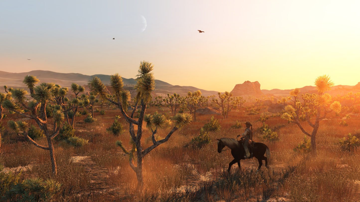 Red Dead Redemption EU/UK PC Windows CD Key