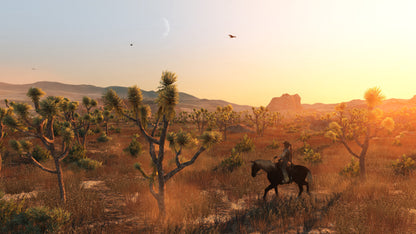 Red Dead Redemption EU/UK PC Windows CD Key