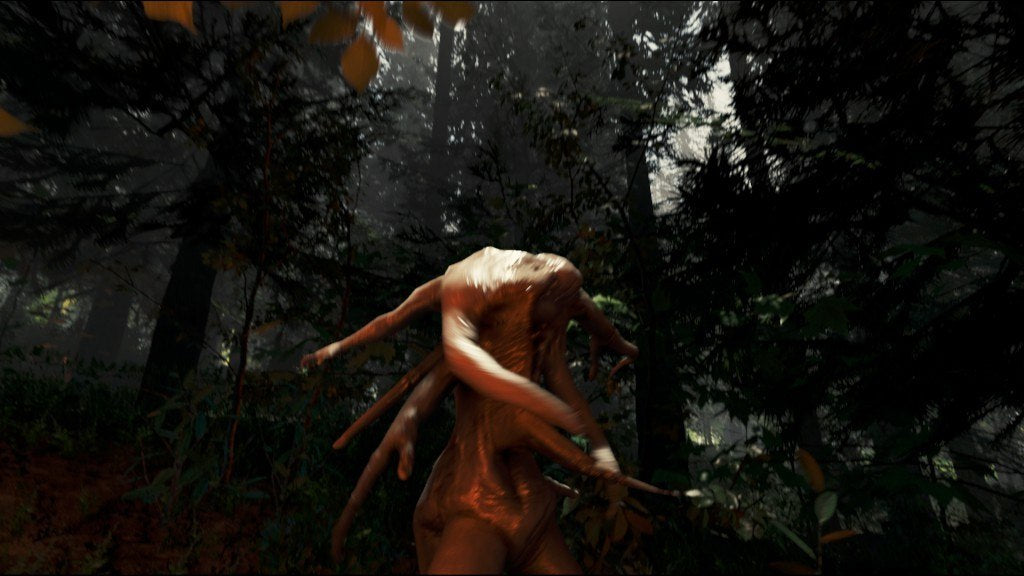 The Forest Steam Gift