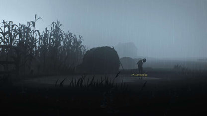 INSIDE PS5 Account