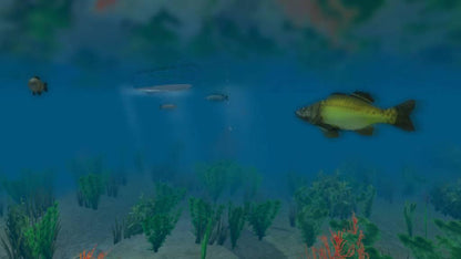 European Fishing Steam CD Key
