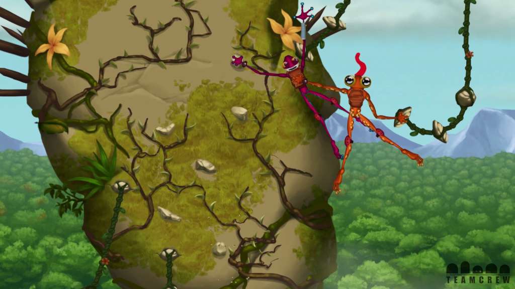 Frog Climbers EU Steam CD Key