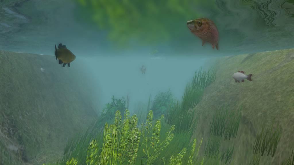 European Fishing Steam CD Key