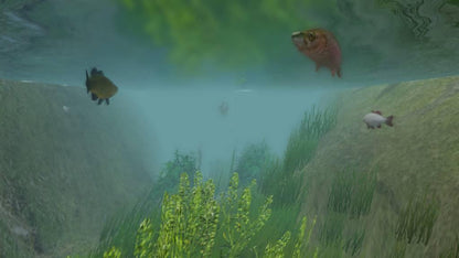European Fishing Steam CD Key