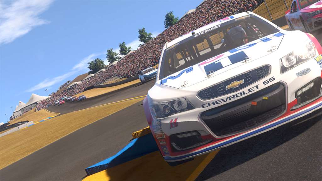 NASCAR Heat Evolution PC Steam CD Key