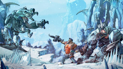 Borderlands 2 RU PC Steam CD Key