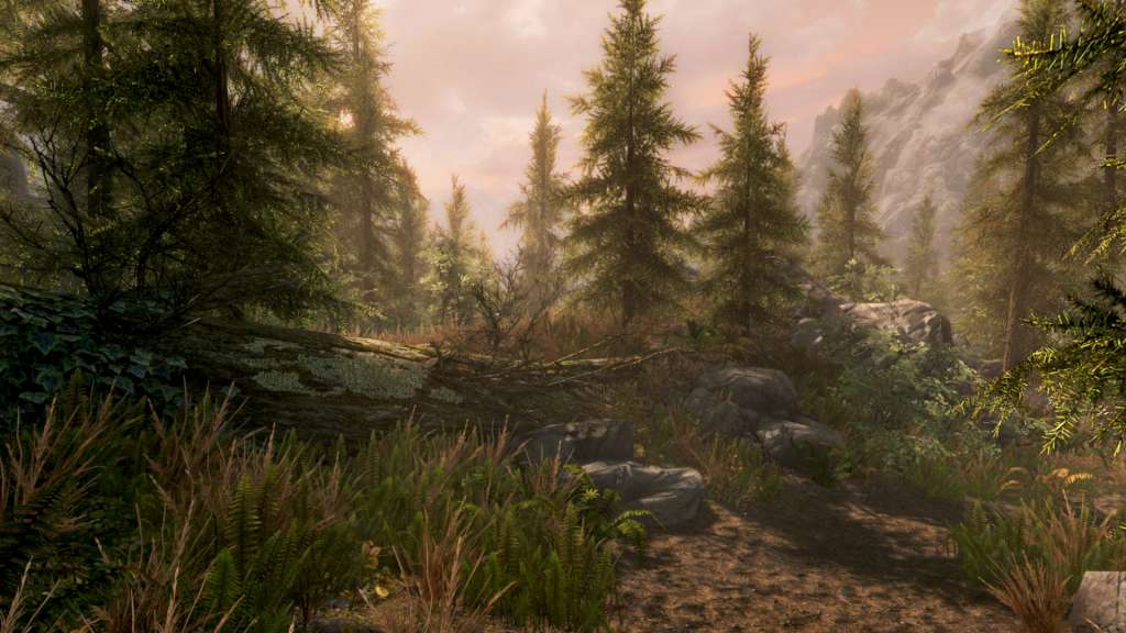 The Elder Scrolls V: Skyrim Special Edition PS4/PS5 Online Account Activation